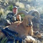 trophy aoudad hunting in Texas