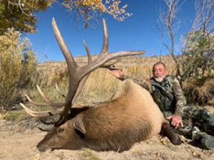New-Mexico-unit-2-elk