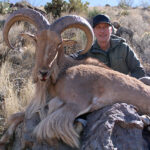 Texas-hunting-for-aoudad