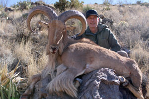 Texas-hunting-for-aoudad