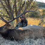 bull-elk-hunting