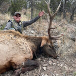 bull-elk-hunting-2