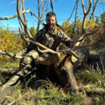 bull-elk-hunting-4