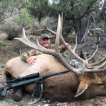 bull-elk-hunting-5