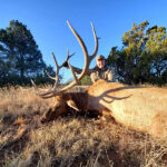 bull-elk-hunting-6