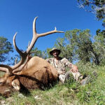 bull-elk-hunting-trips-1