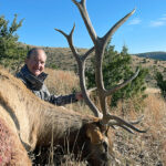 bull-elk-hunting-trips