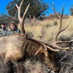 bull-elk-youth-hunting