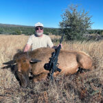 cow-elk-rifle-hunting-trips