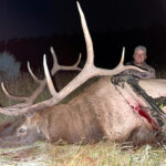 elk-bow-hunting