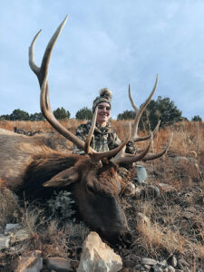 elk-in-Southern-NewMexico