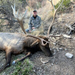 late-season-rifle-elk