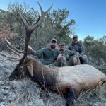late-season-rifle-elk-hunts