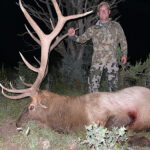 monster-elk-with-a-bow-in-New-Mexico-unit-34