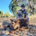 new-mexico-cow-elk-hunting
