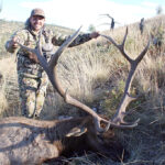 new-mexico-elk-hunting-guides-unit-34-