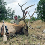 new-mexico-elk-late-season-hunting