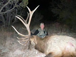 new-mexico-elk-season