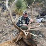 new-mexicohunting-elk-rifle