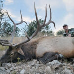 rifle-elk-Guides-in-New-Mexico