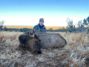 youth-cow-elk-hunting