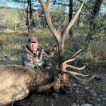 big-bull-elk-hunt-02