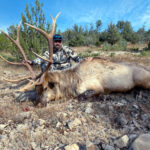 trophy-elk-hunting-02
