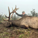 trophy-elk-hunting-08