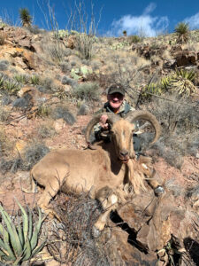 Aoudad-in-Texas