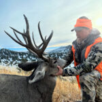 Chris-Guikema-Mule-deer-Colorado