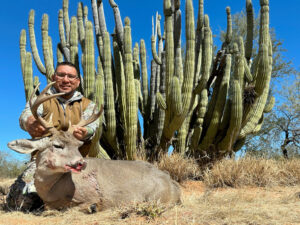 Coues-deer