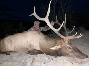 Elk-in-New-Mexico-guided