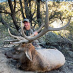 New-Mexico-Elk