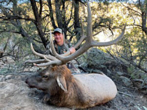 New-Mexico-Elk