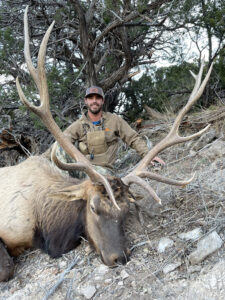 new-mexico-elk-hunting-unit-36