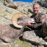 Colorado-S9-sheep-guides