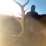 Guided-late-season-elk-hunting