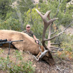 big-elk