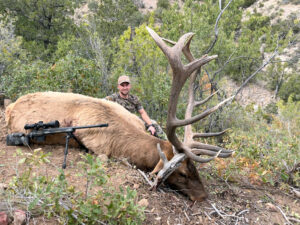 big-elk