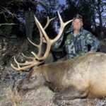 elk-hunting-New-Mexico-guided