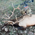 unit-30-elk-hunting