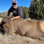 Guided-cow-hunting-New-Mexico