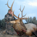 New-Mexico-guided-elk-chama