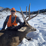 colorado-3rd-season-mule-deer