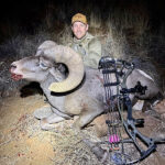 desert-sheep-hunting-guides-new-mexico