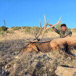 great-unit-34-rifle-elk-hunting