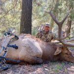 guided-bow-hunting-new-mexico