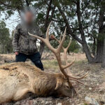 guided-late-season-rifle-elk-hunts