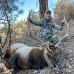 late-season-private-land-elk-guides