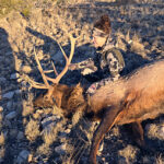 late-season-rifle-elk-hunts